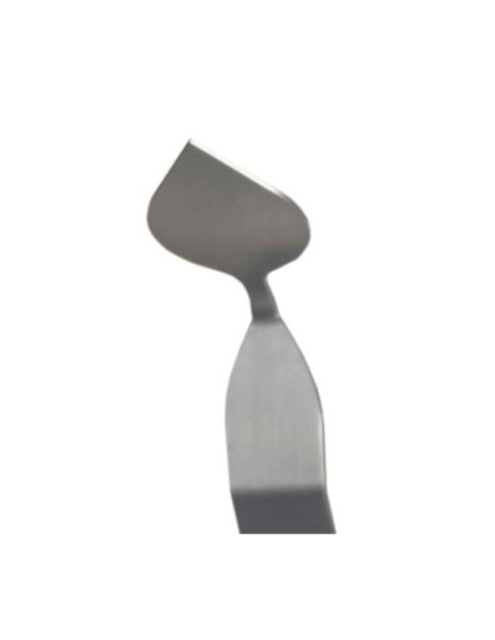 SILICONE: vendita online CLS 02-CHOCO LEAVES SPATULA CM.12 X 2.5 in offerta