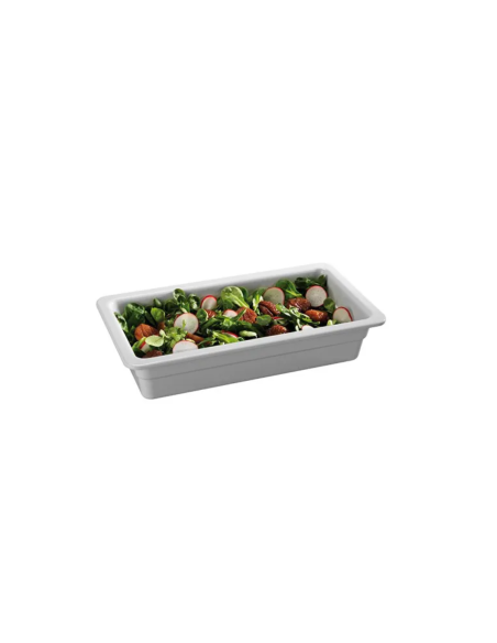 BACINELLE GASTRO: vendita online CONTENITORE GN 1/3 CM 32 H7 SHOW PLATE BIANCO TOGNANA PORCELLANE in offerta