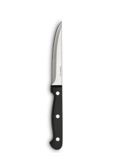 ICOLTELLI CF 6 COLTELLO BISTECCA LAMA LISCIA