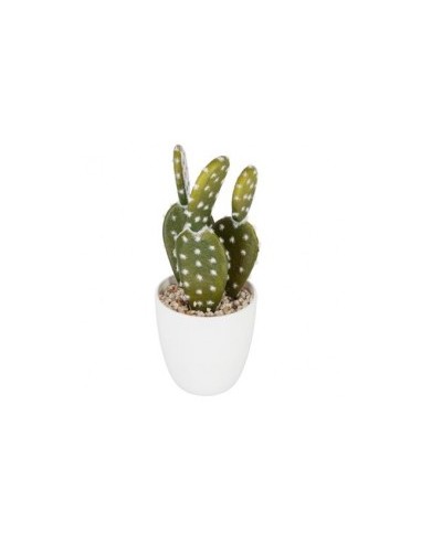 COMPLEMENTI D'ARREDO: vendita online VASO 155600 CON CACTUS 18CM in offerta