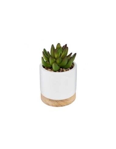 PIANTA 164284 VASO CERAMICA/LEGNO 9X12CM