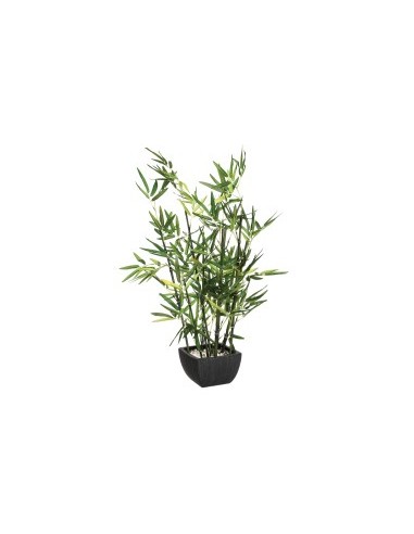 PIANTA 109591 BAMBOO CON VASO H70CM