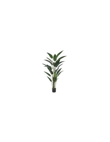 PIANTA 801628 UCCELLO DEL PARADISO 182CM PVC