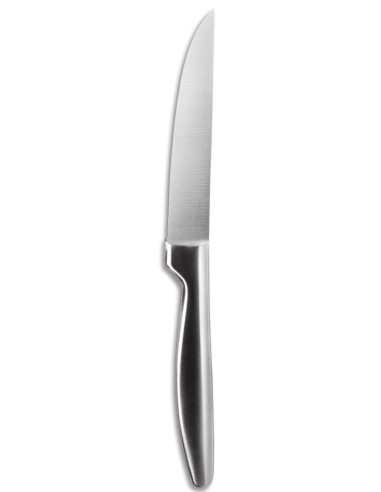 COLTELLI BISTECCA: vendita online COLTELLO DA BISTECCA SATIN COMAS LAMA LISCIA ACCIAIO INOX in offerta