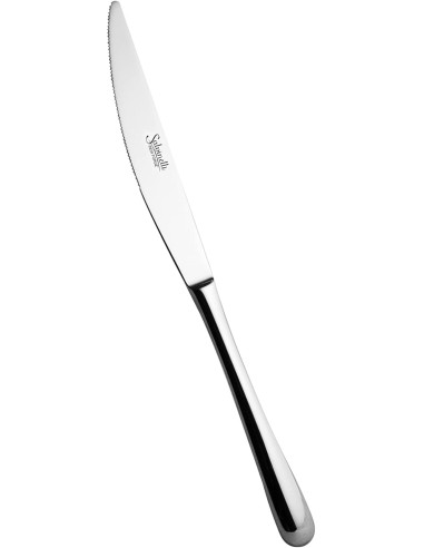 COLTELLI TAVOLA: vendita online COLTELLO DA TAVOLA FORGIATO SALVINELLI PRINCESS CONF. 12 PEZZI INOX in offerta