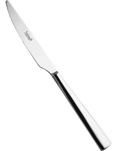 COLTELLI FRUTTA: vendita online COLTELLO DA FRUTTA FORGIATO SALVINELLI TIME CONFEZIONE 6 PEZZI INOX in offerta