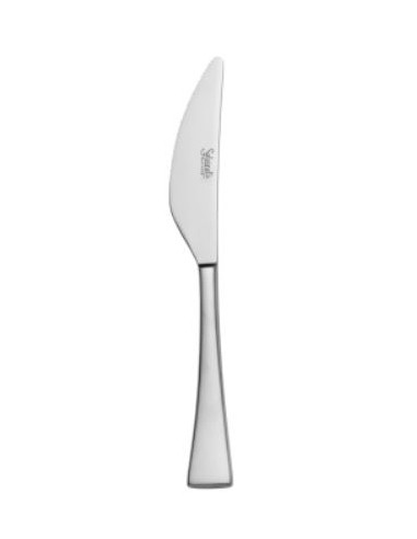 COLTELLI FRUTTA: vendita online COLTELLO FRUTTA FORGIATO INOX 18/10 OCEANIA CONFEZIONE 12 PEZZI SALVINELLI in offerta