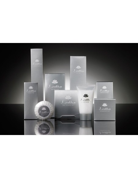 LINEA CORTESIA: vendita online SET BARBA LOTHO CONFEZIONE 25 PEZZI LEONE in offerta