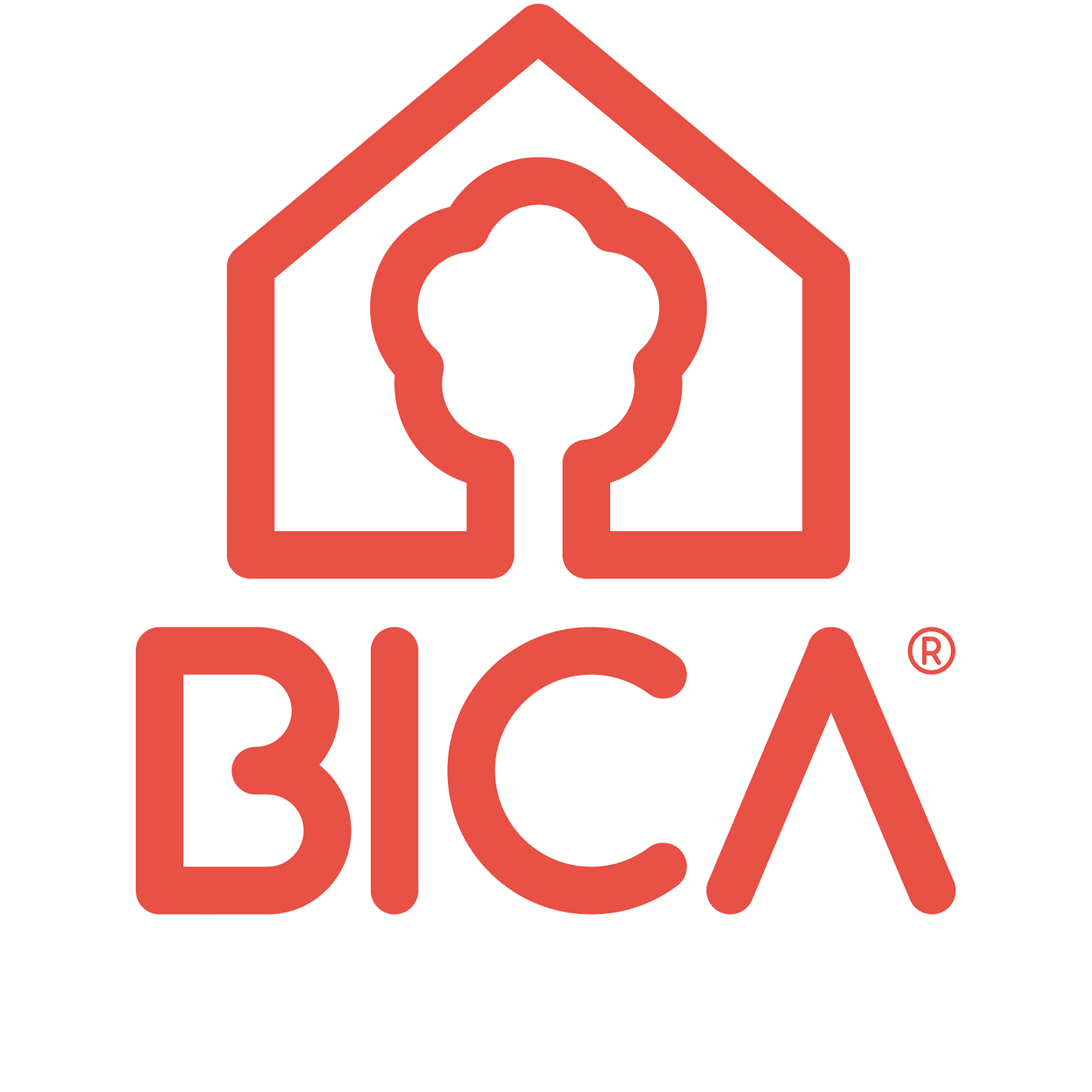 BICA S.P.A.